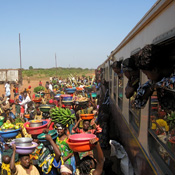 Privé reizen worden georganiseerd in Tanzania, Zanzibar, Kenia en Uganda/Rwanda