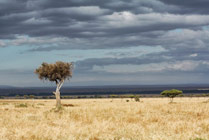 Masaai Mara Reserve