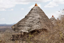 Masaai Mara- banda's