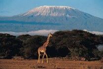 Kenya,  View Kilimanjaro from Amboseli NP