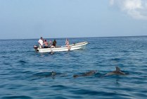 Zanzibar -Kizimkazi - dolfijnen